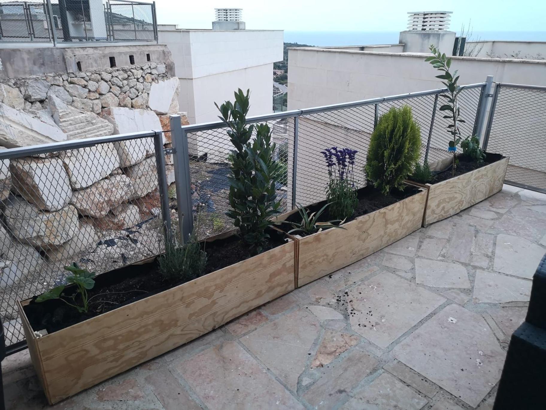 La Casa Del Mirlo Azul - Peniscola 아파트 외부 사진